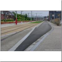 2025-05-27 T1 Petit Bourgogne 03.jpg